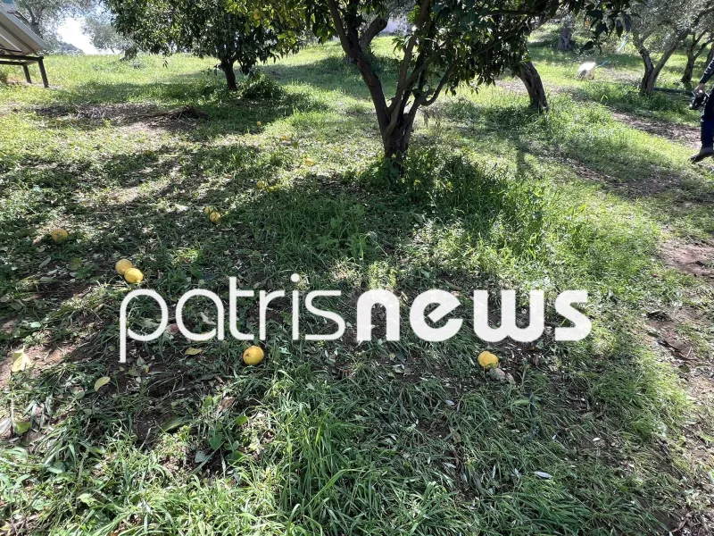Χαλάζι