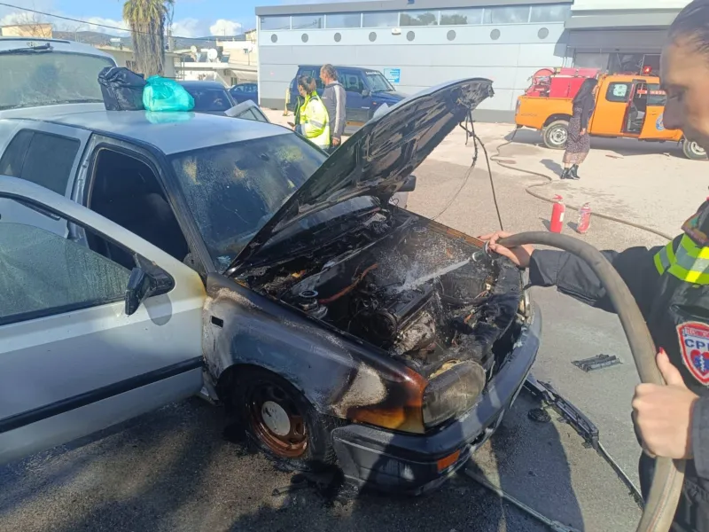 Ερέτρια - φωτιά