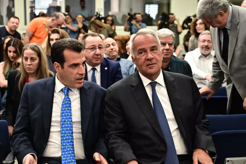 πλευρης βοριδης