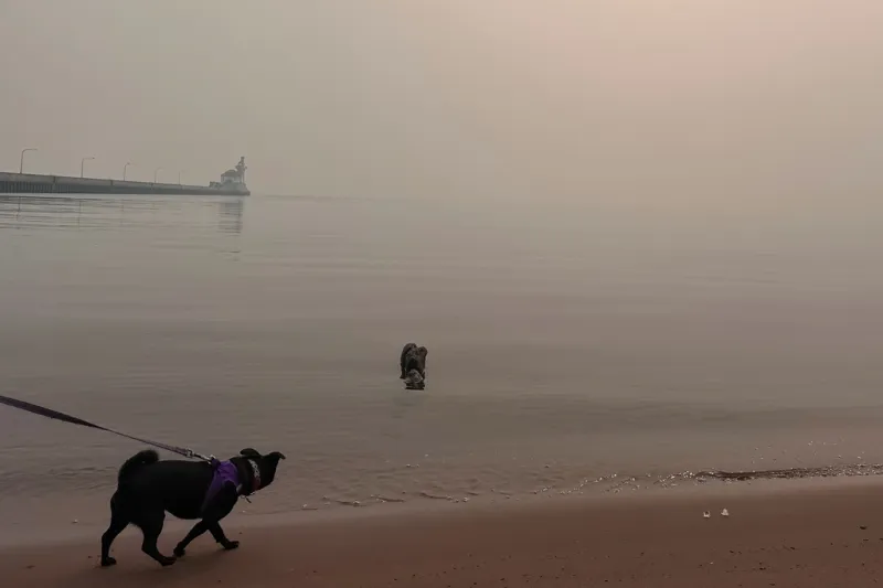 ΗΠΑ