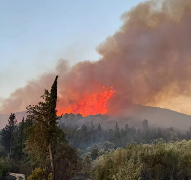 Βόνιτσα