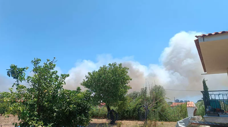 Φωτιά στον Μαραθώνα – Μεγάλη κινητοποίηση της Πυροσβεστικής