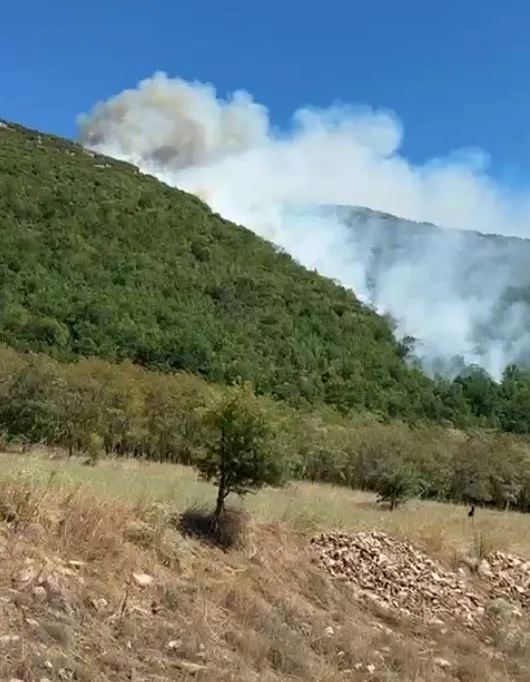 Φωτιά Γρεβενά