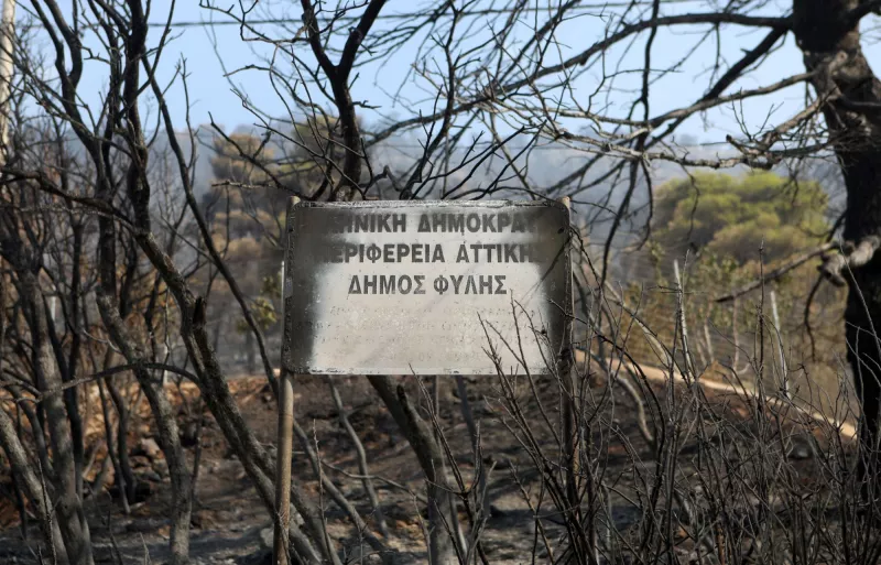 Φυλη φωτια
