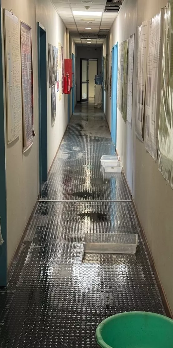 Γεοπονική Σχολη