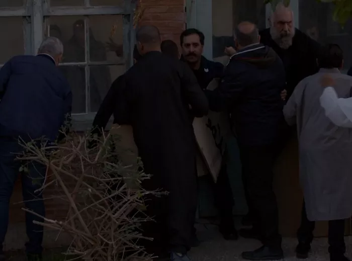 γλυκάνισος