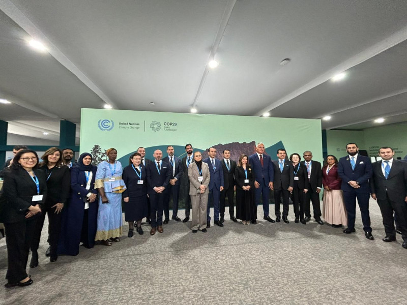 Μενδώνη Cop 29