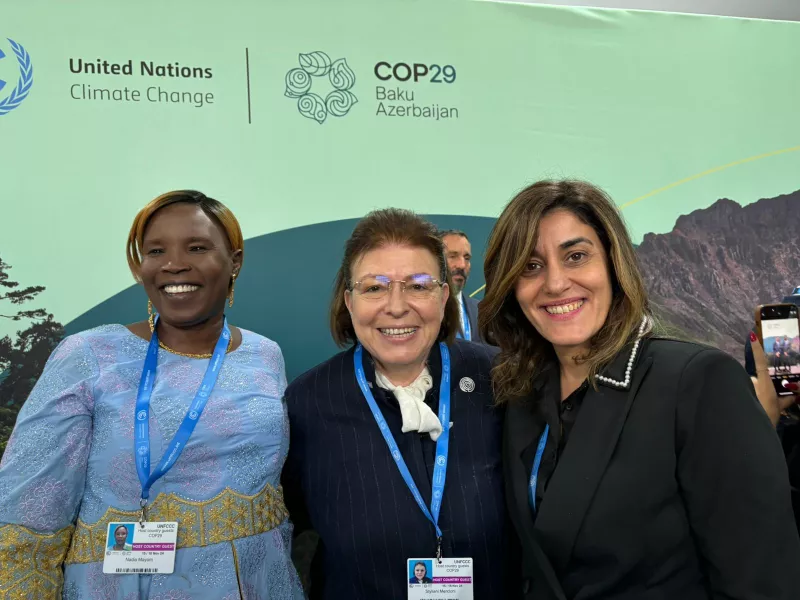 Μενδώνη Cop 29