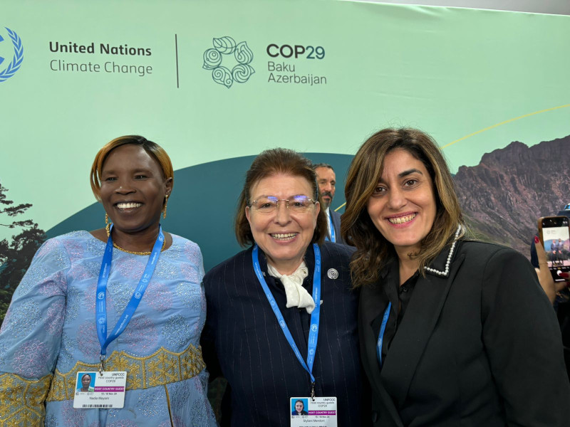 Μενδώνη Cop 29