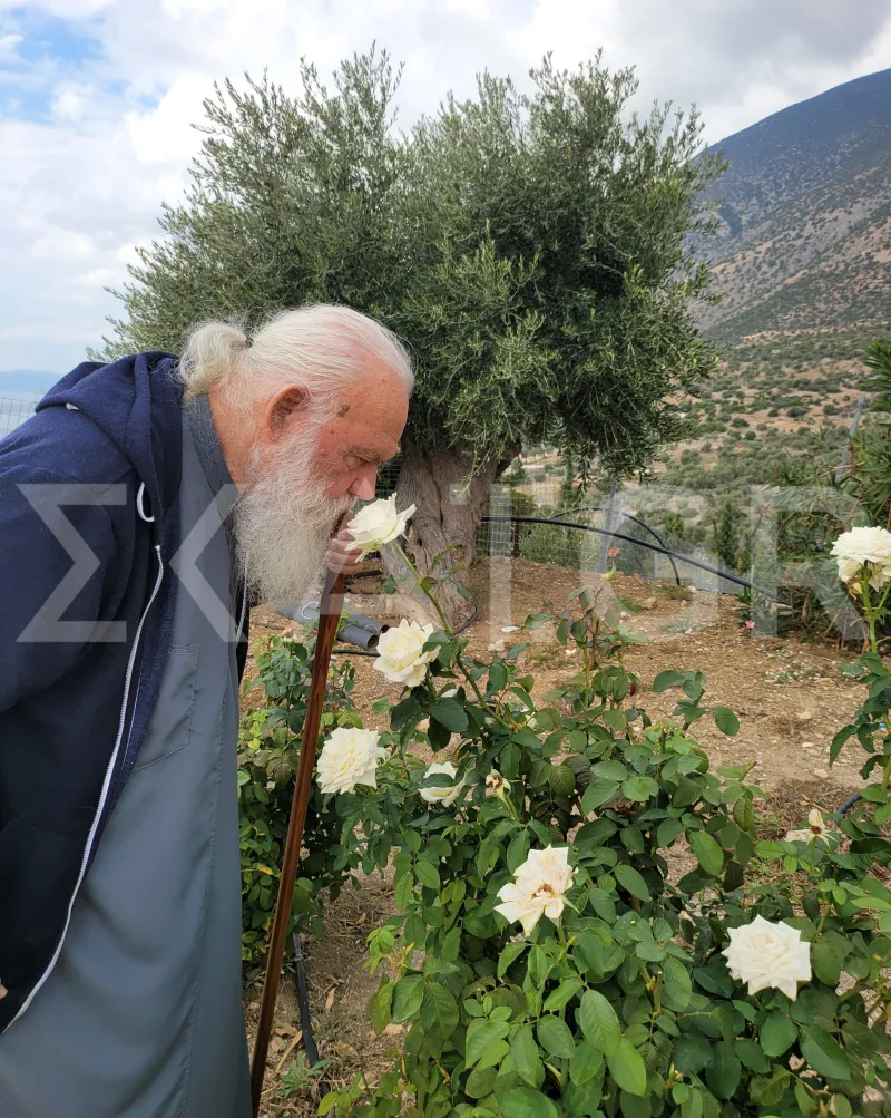 Αρχιεπίσκοπος Ιερώνυμος