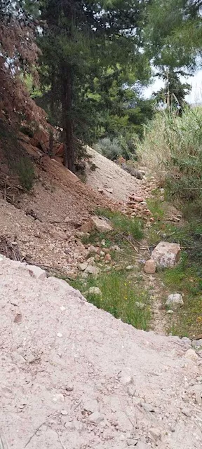 Μπάζα Παλλήνη