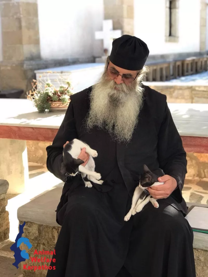 Φωτογραφίες από υιοθεσίες στην Κάρπαθο. 