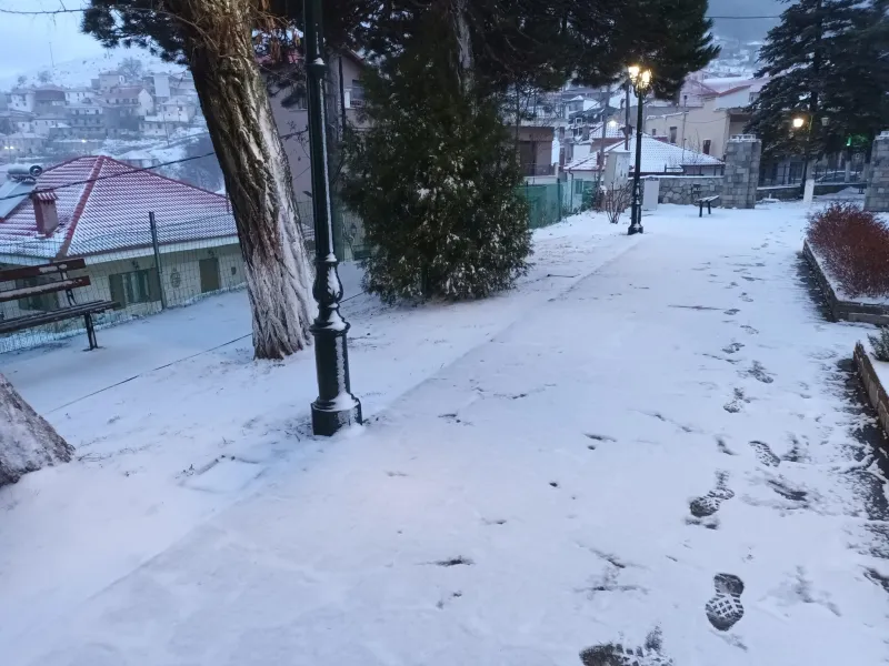 Καρδίτσα