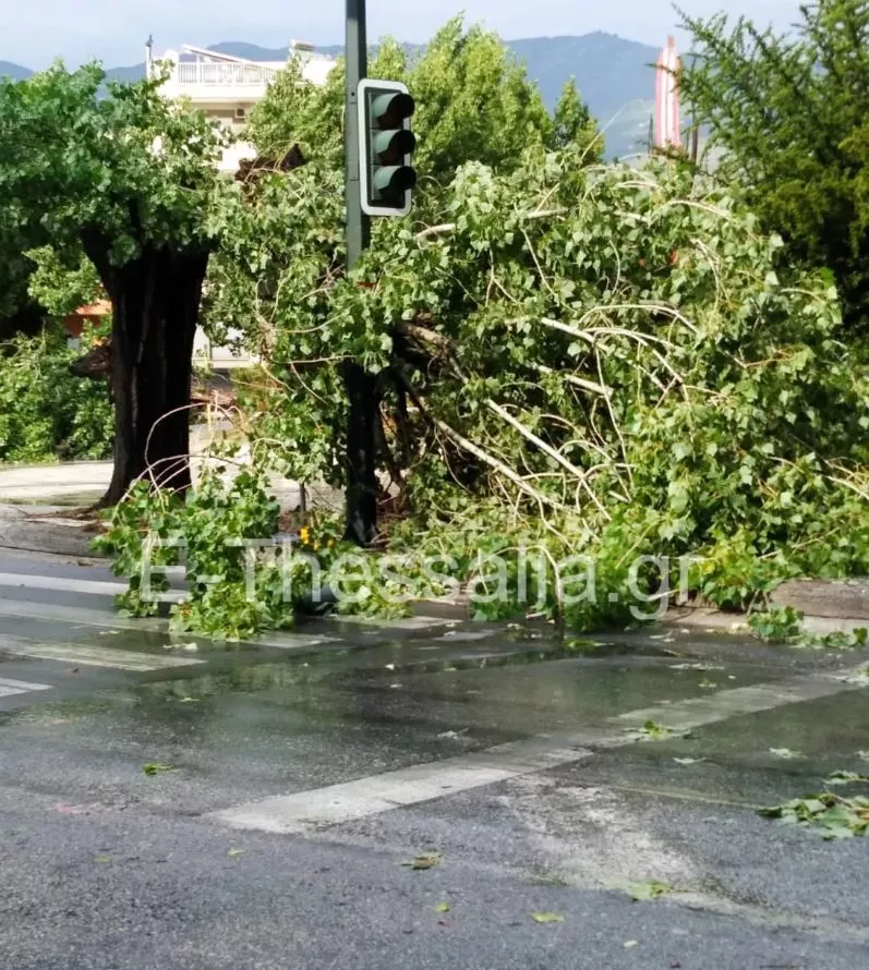 Πτώσεις δέντρων και πλημμυρισμένοι δρόμοι στον Βόλο