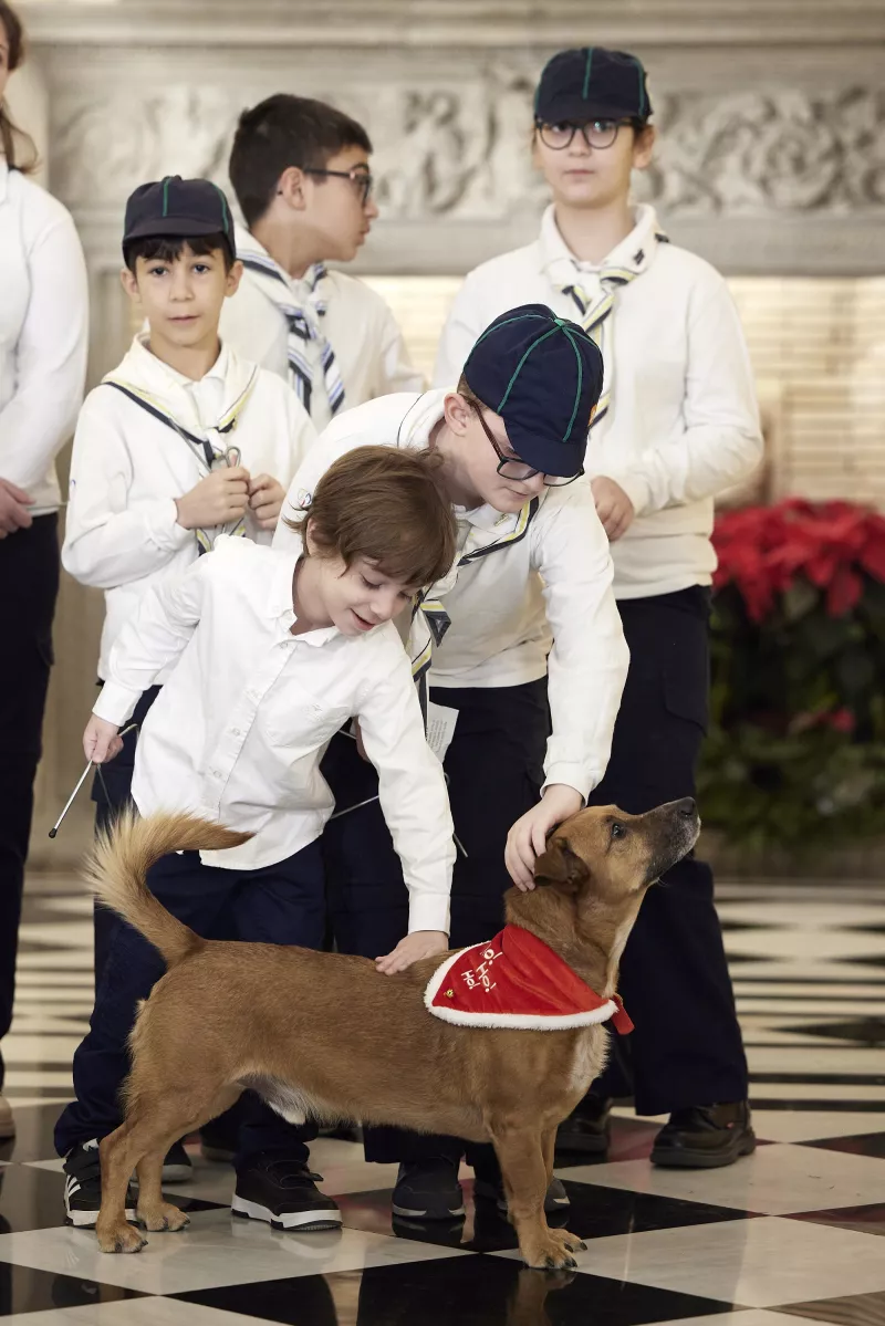 Kάλαντα στον Μητσοτάκη