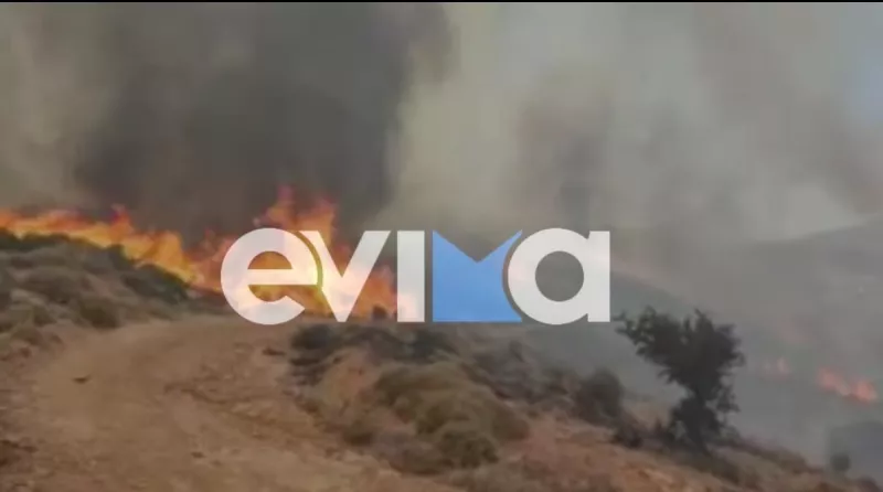 Κάρυστος