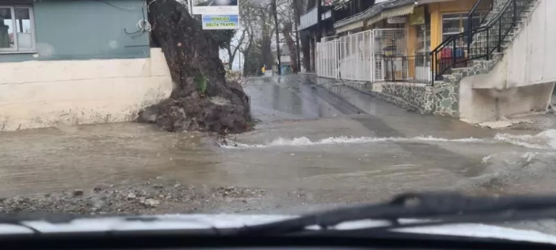 λαρισα