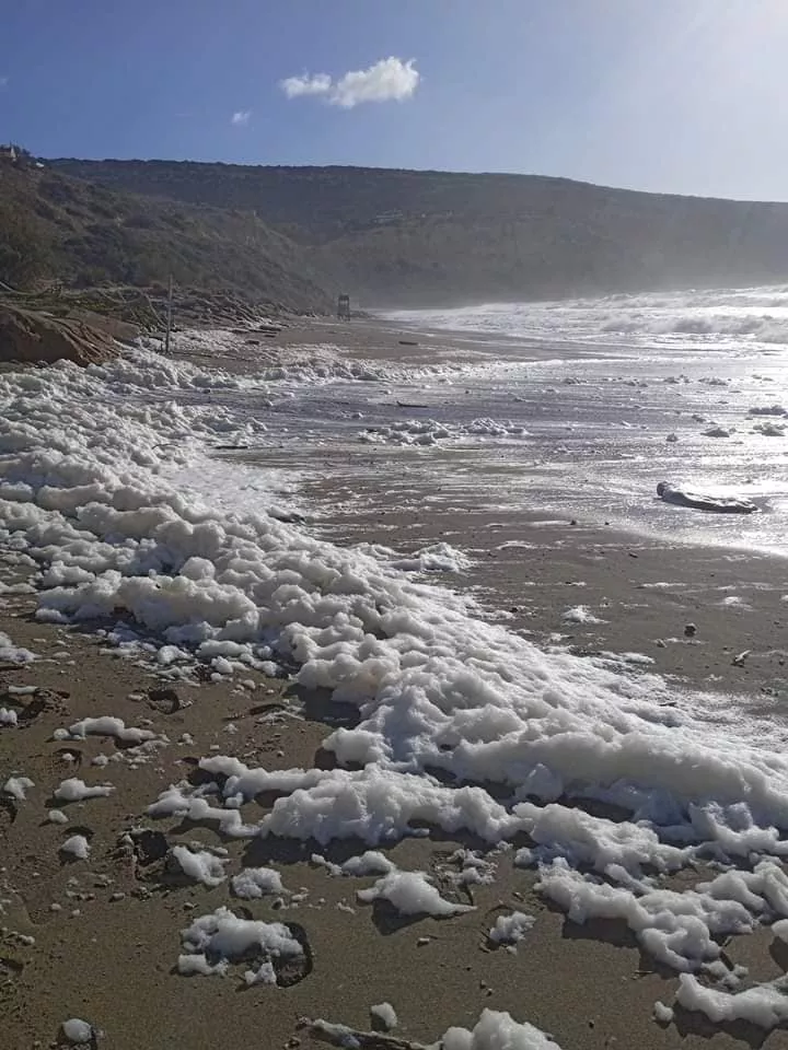 Capuccino coast
