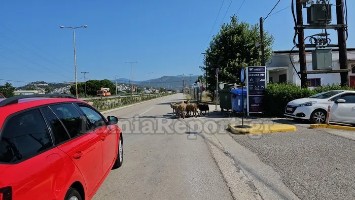 Λαμία