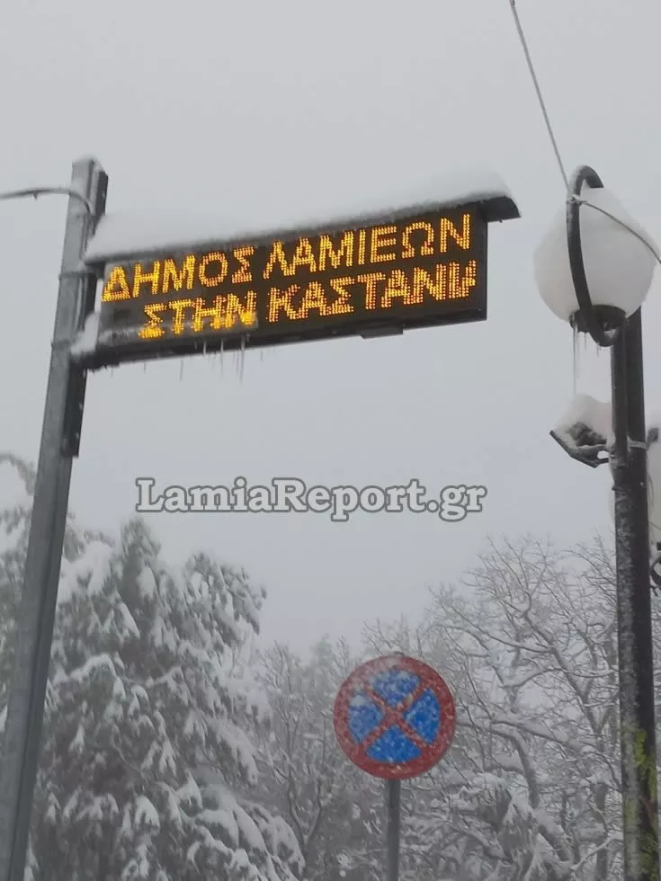 lamiareport