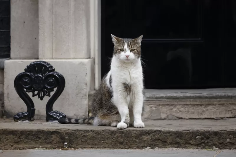 Λάρι, ο γάτος της Ντάουνινγκ Στριτ