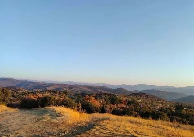 λευκίμμη