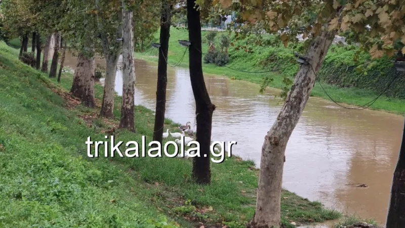 Τρίκαλα