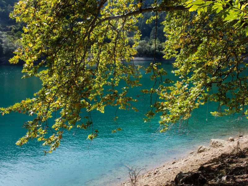 lake