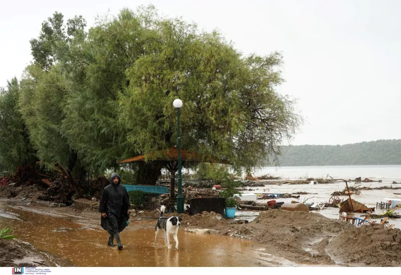 Ανυπολόγιστες καταστροφές στη Μαγνησία 