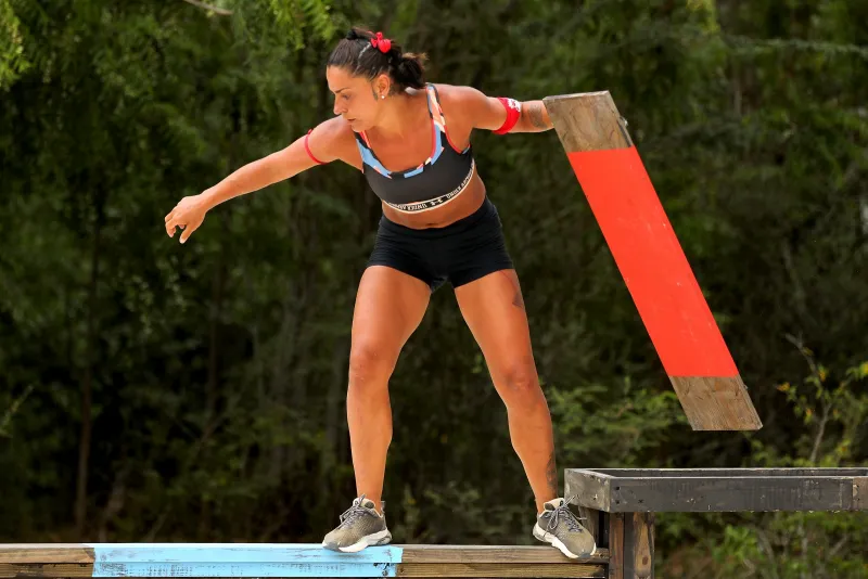 Survivor All Star