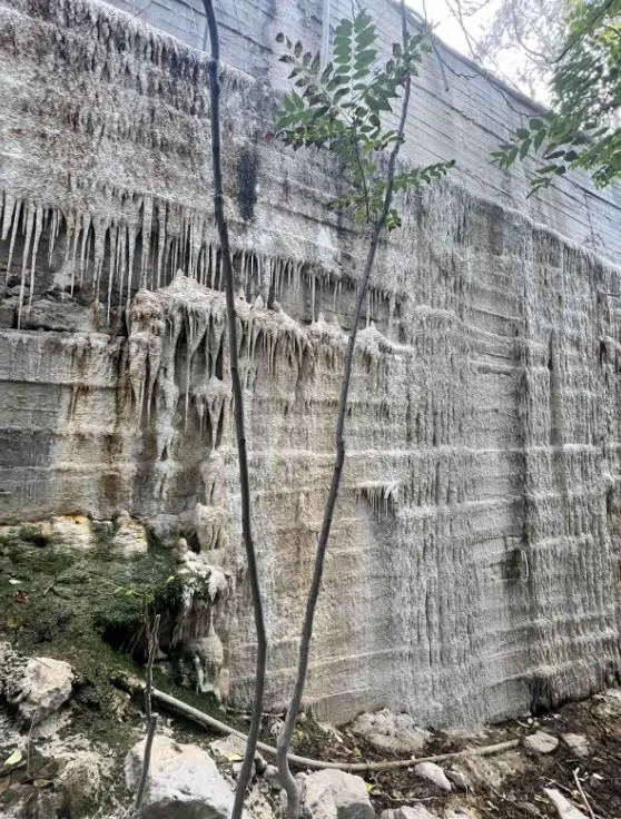 Μεταμόρφωση
