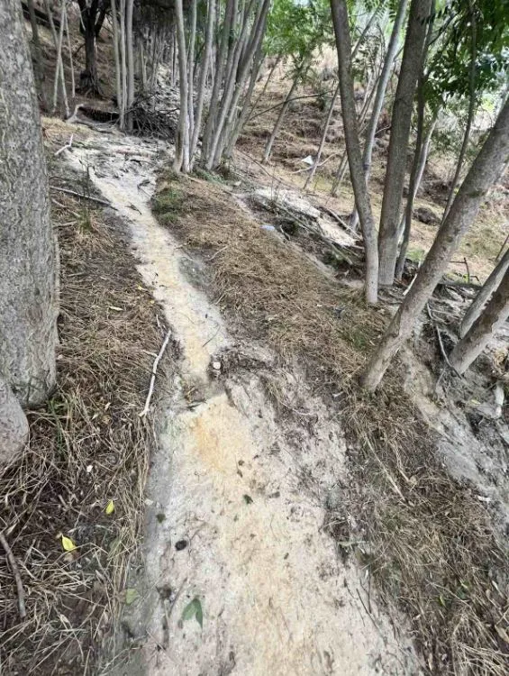 Μεταμόρφωση