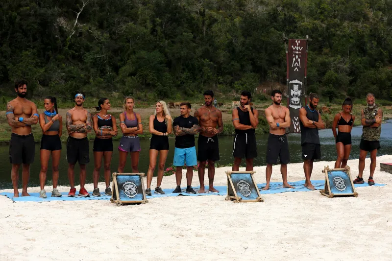 Survivor All Star