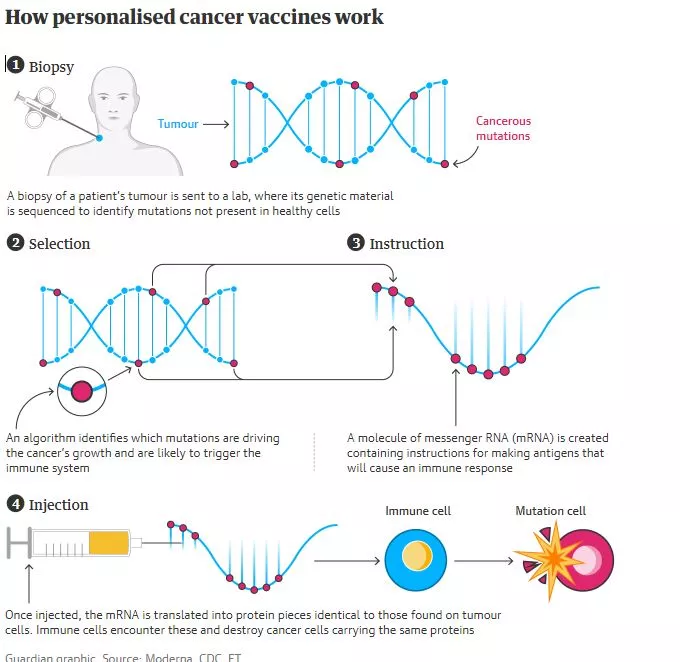 mrna
