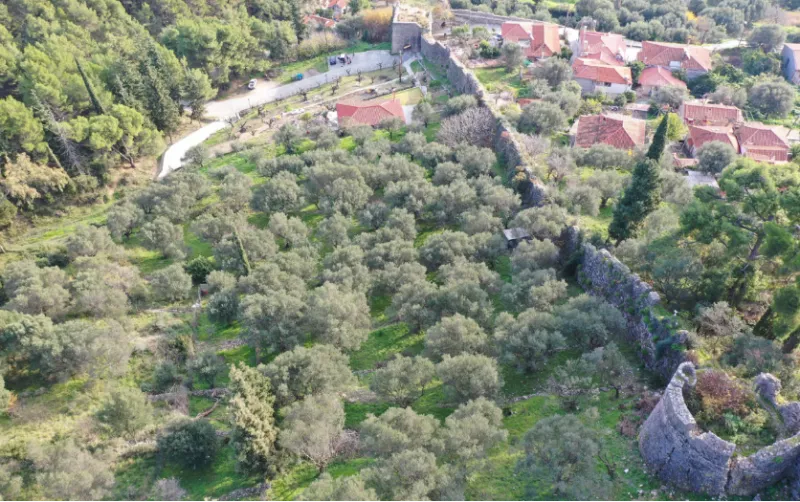 ναυπακτος