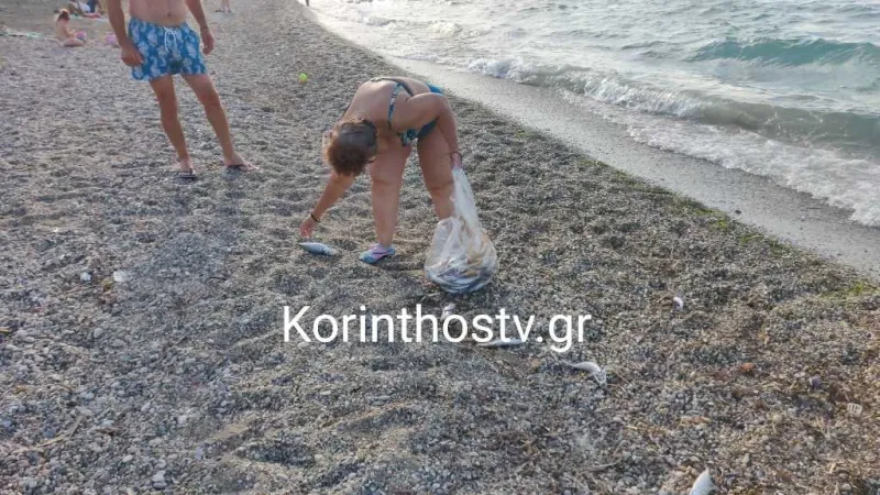 Νεκρά ψάρια