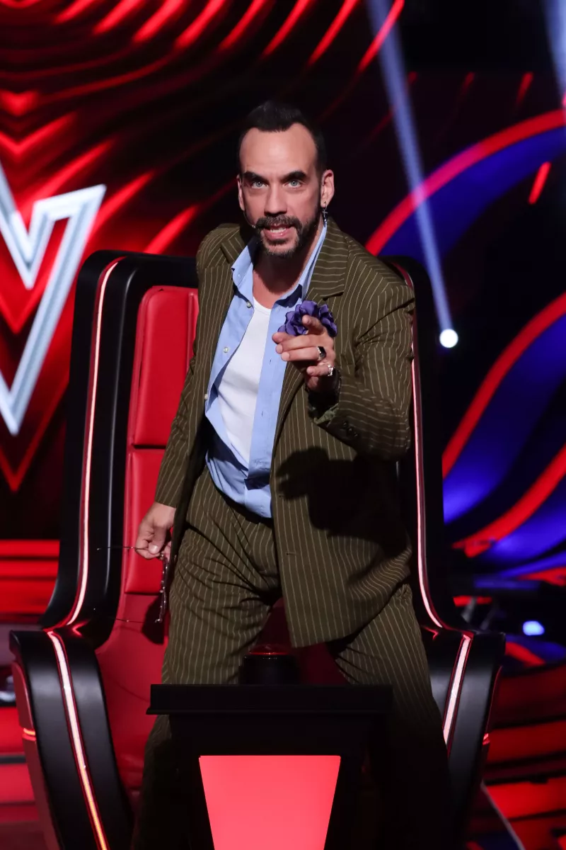 the voice