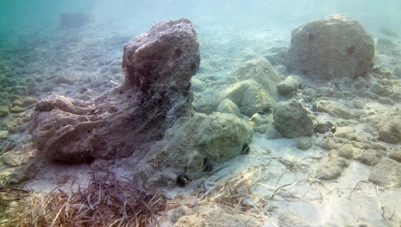 παυλοπετρι