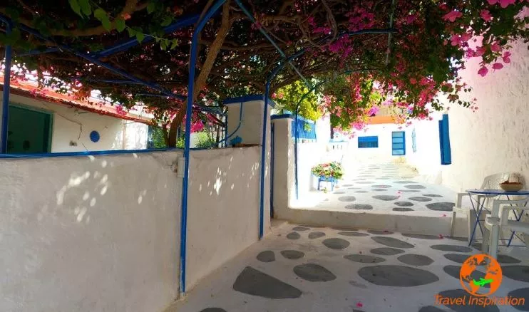Η γραφική Πέρδικα στην Αίγινα 