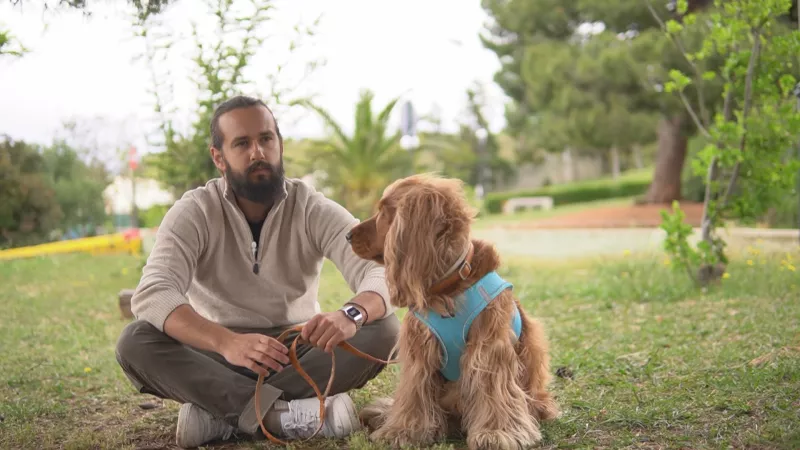 Pet Stories