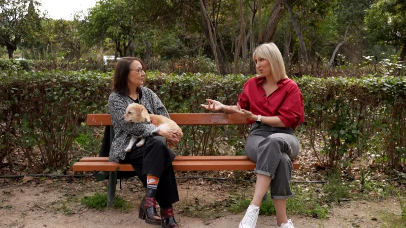 Pet Stories