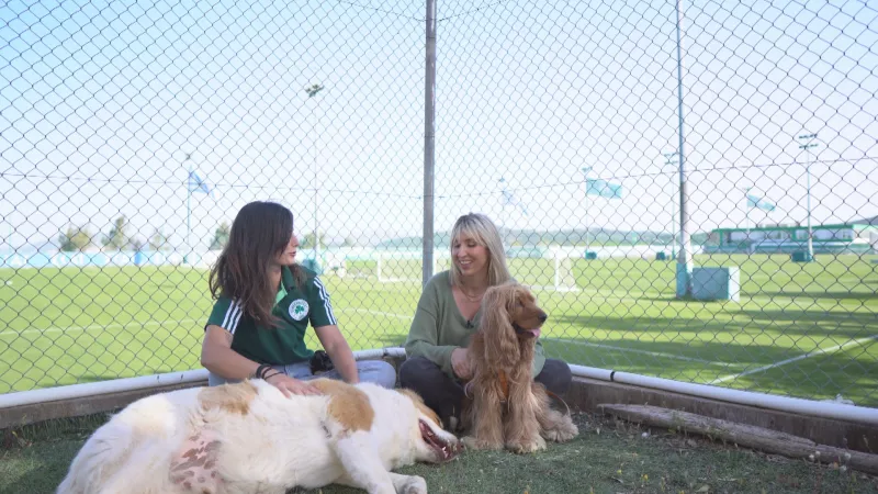 Pet Stories