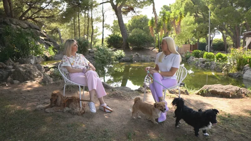 Pet Stories