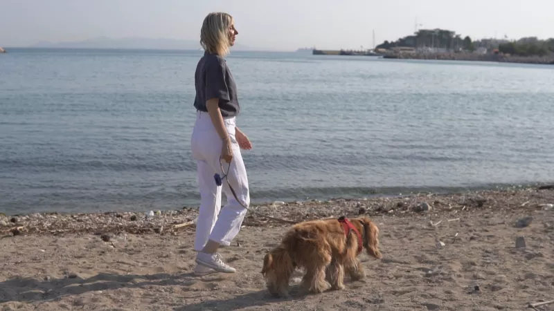 Pet Stories
