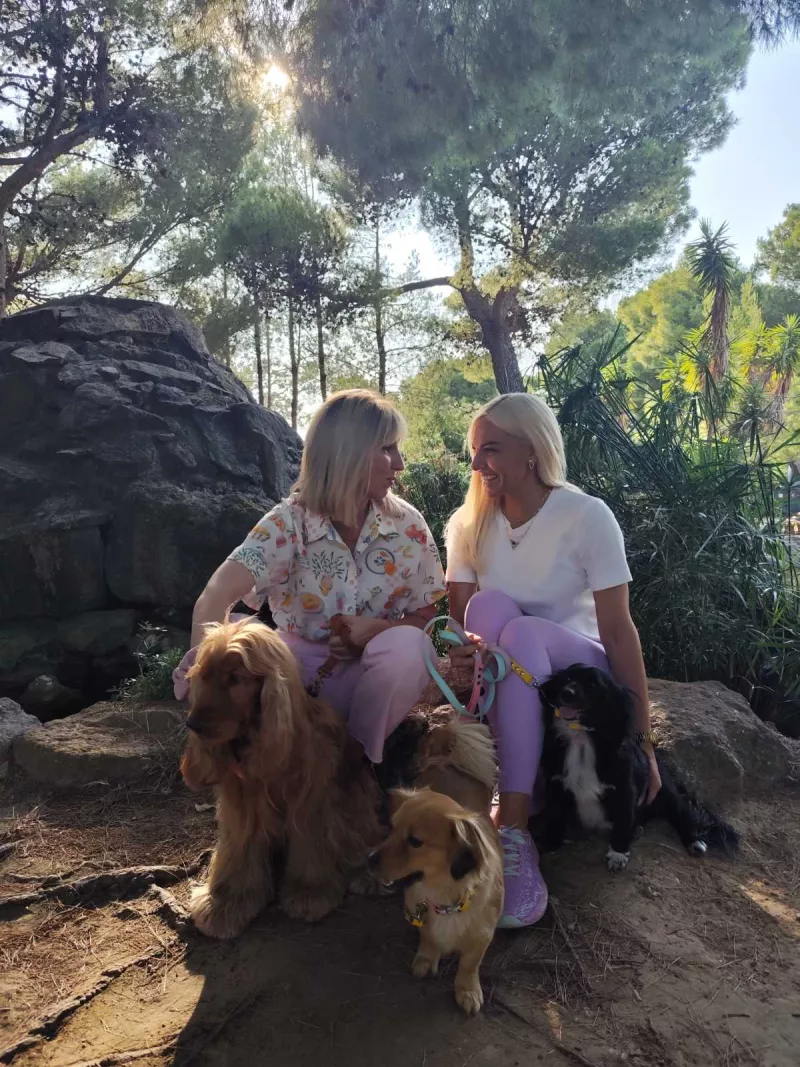 Pet Stories