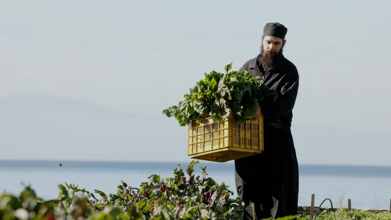αγιο ορος