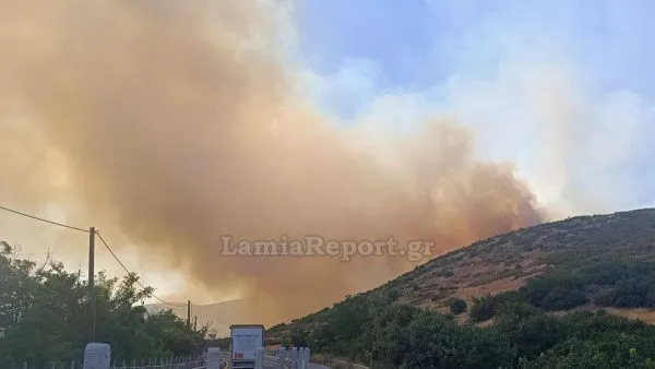 γφνγφνφ