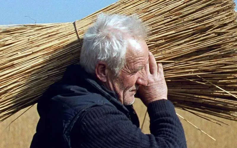 Καλαμιές