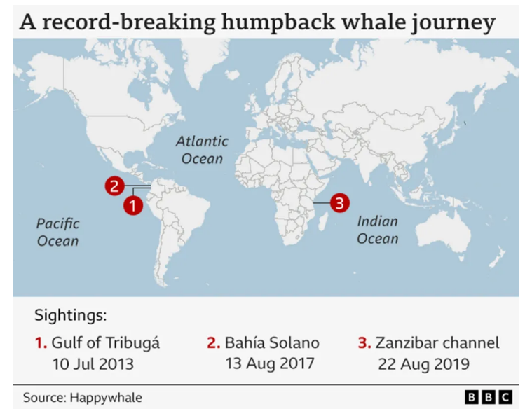 Ο χάρτης με το ταξίδι της φάλαινας (BBC)