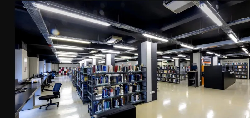 university of york